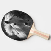 ホースポートレートV 卓球ラケット (横)