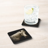 ホースポートレートVI コースター (右側)