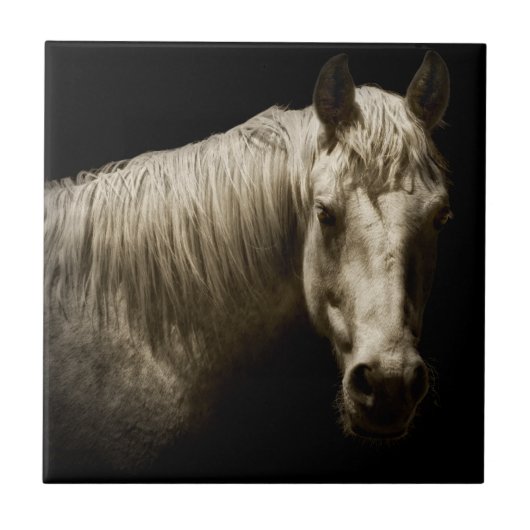 ホースポートレートVI タイル (正面)