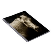 ホースポートレートVI ノートブック (右側)