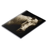 ホースポートレートVI ノートブック (左側)