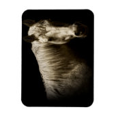 ホースポートレートVI マグネット (縦)