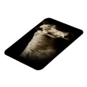 ホースポートレートVI マグネット (左側)