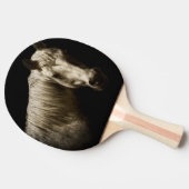 ホースポートレートVI 卓球ラケット (横)