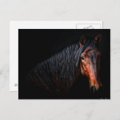 ホースポートレートVII ポストカード (正面/裏面)