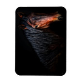 ホースポートレートVII マグネット (縦)