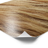 ホースマネ フォトプリント            (角)