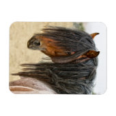 ホースマネ マグネット (横)