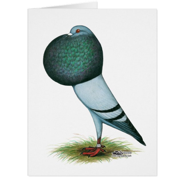 ホースマンプアウターブルー (正面)