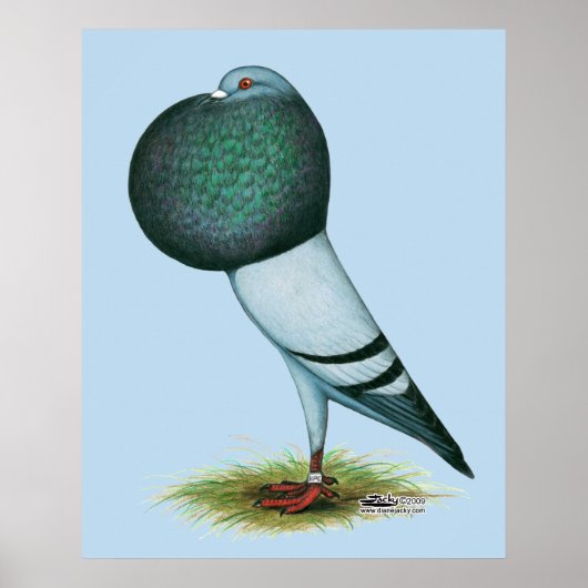 ホースマンプアウターブルー ポスター (正面)