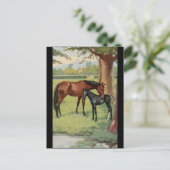 ホースマーレフォアルエクエストリアンヴィンテージイメージ ポストカード (スタンド正面)