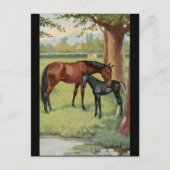 ホースマーレフォアルエクエストリアンヴィンテージイメージ ポストカード (正面)