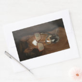 ホースユーモアのあるフォール喫煙シガーステッカー 長方形シール (封筒)