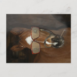 ホースユーモアのあるフォール喫煙葉書 ポストカード