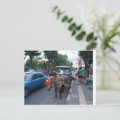 ホースライド@バリ ポストカード (スタンド正面)