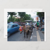 ホースライド@バリ ポストカード (正面/裏面)