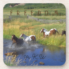 ホースリバー コースター