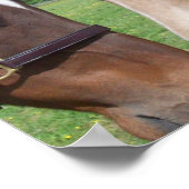 ホースロマンスポスタープリント ポスター (角)