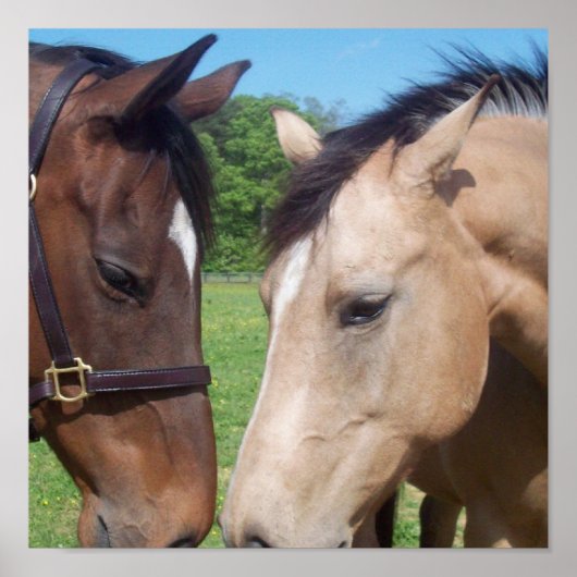 ホースロマンスポスタープリント ポスター (正面)