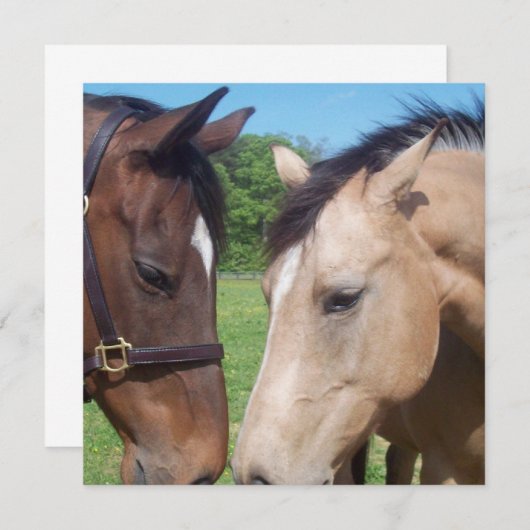 ホースロマンス招待状 招待状 (正面/裏面)