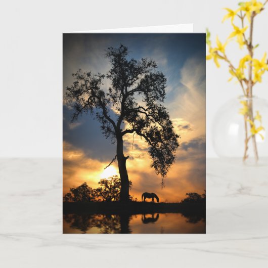 ホース悔やみや弔慰ホースオークツリーアンドウォーター カード (黄色い花)