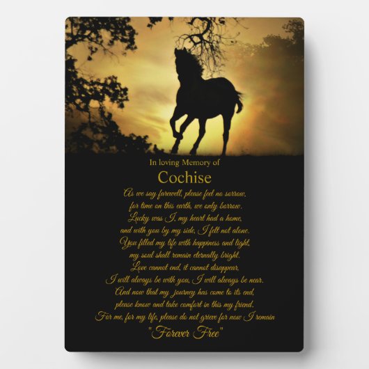 ホース悔やみや弔慰メモリアル名前をカスタムする フォトプラーク (正面)