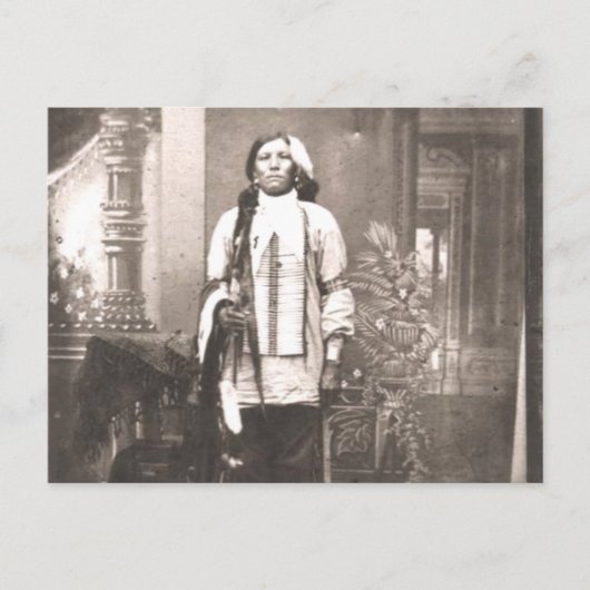 ホース熱狂するポートレート ポストカード (正面)