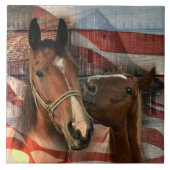 ホース素朴バーンアメリカ国旗 タイル (正面)