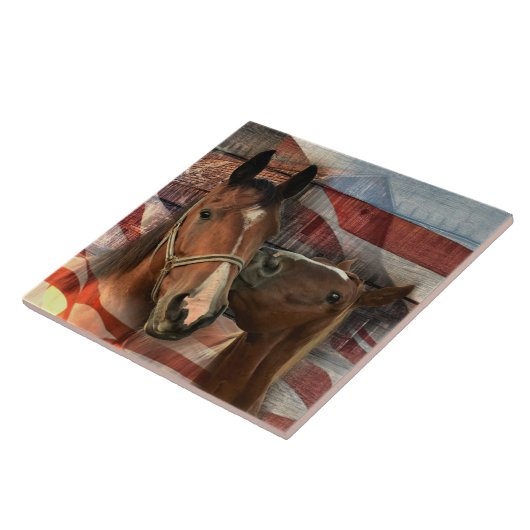 ホース素朴バーンアメリカ国旗 タイル (側面)