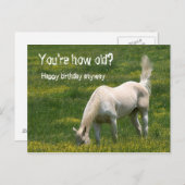ホース誕生日 ポストカード (正面/裏面)