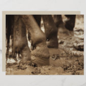 ホース足ウェスタンヴィンテージセピアブラウン素朴 (正面/裏面)