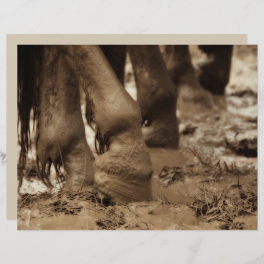 ホース足ウェスタンヴィンテージセピアブラウン素朴 (正面/裏面)