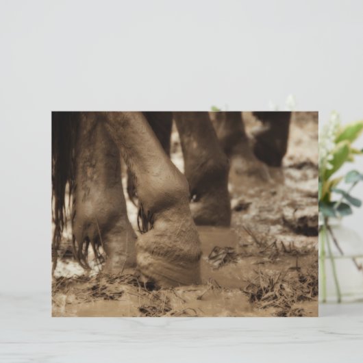 ホース足ウェスタンヴィンテージセピアブラウン素朴 (スタンド正面)