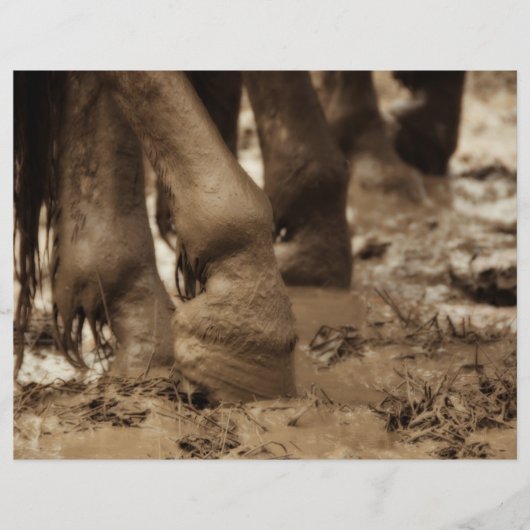 ホース足ウェスタンヴィンテージセピアブラウン素朴 (正面)