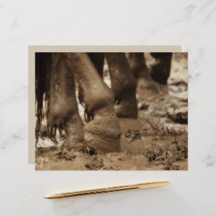 ホース足ウェスタンヴィンテージセピアブラウン素朴