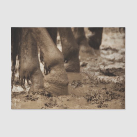 ホース足ウェスタンヴィンテージセピアブラウン素朴 薄葉紙 (正面)