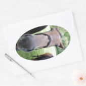 ホース顔 楕円形シール (封筒)