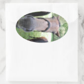 ホース顔 楕円形シール (バッグ)