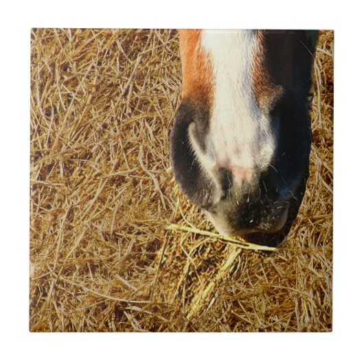 ホース食べズヘイ タイル (正面)