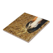 ホース食べズヘイ タイル (側面)