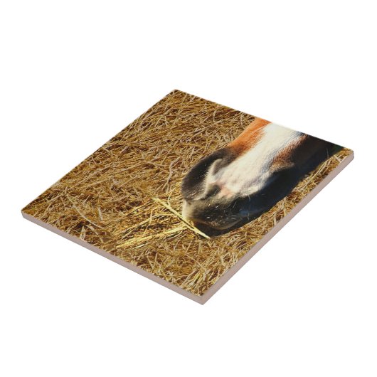 ホース食べズヘイ タイル (側面)