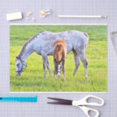 ホース&フォールティッシュペーパー  薄葉紙 (クラフト)