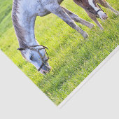 ホース&フォールティッシュペーパー  薄葉紙 (詳細)