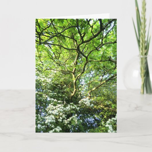 ホーソーンおよびカシのHandfastingカード カード (正面)