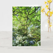 ホーソーンおよびカシのHandfastingカード カード (黄色い花)