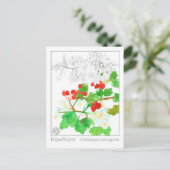 ホーソーンマテリアメディカモノグラフハバル勉強 ポストカード (スタンド正面)