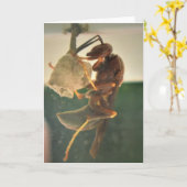 ホーネット、カード カード (黄色い花)