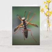 ホーネット、カード カード (黄色い花)