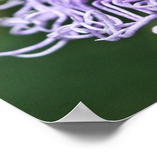 ホーネ食べ物を与えの自然ポスター ポスター (角)