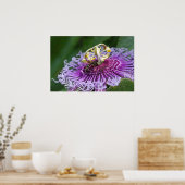 ホーネ食べ物を与えの自然ポスター ポスター (キッチン)